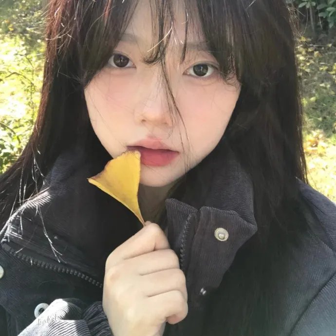 我的魔法预言